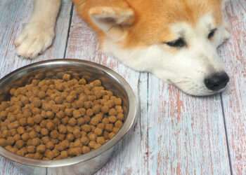 mwpfsettlement mwpfsettlement.com