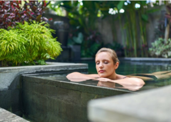 Exploring the Unique Experience at 강남풀싸롱: A Comprehensive Guide.