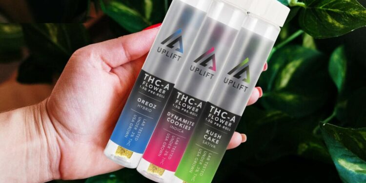 2 An Overview of Thca Carts: Benefits And Usage Explained