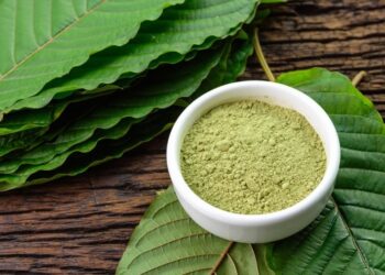 Unlocking the Benefits of Kratom Products: A Comprehensive Guide