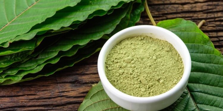 Unlocking the Benefits of Kratom Products: A Comprehensive Guide