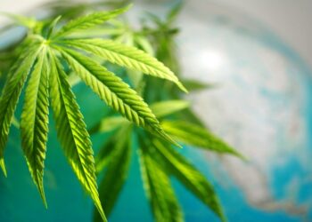 Integrating Health and Wellness into Your Brand Marketing Strategy