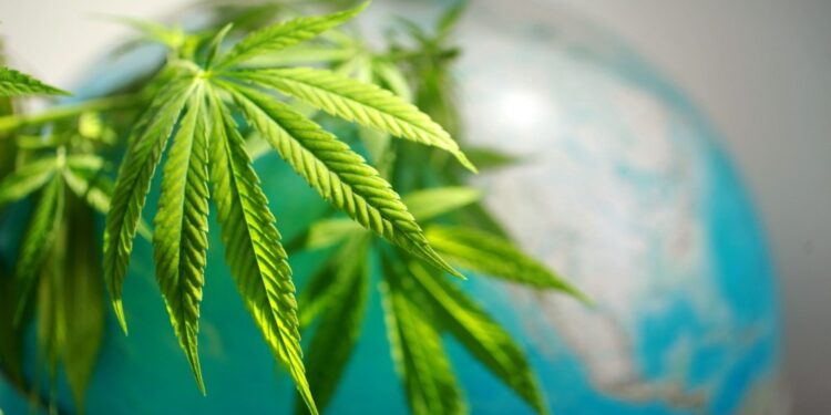 1 Integrating Health and Wellness into Your Brand Marketing Strategy