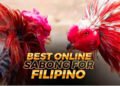 Sabong International Explained: Culture, Controversy, and What People Get Wrong